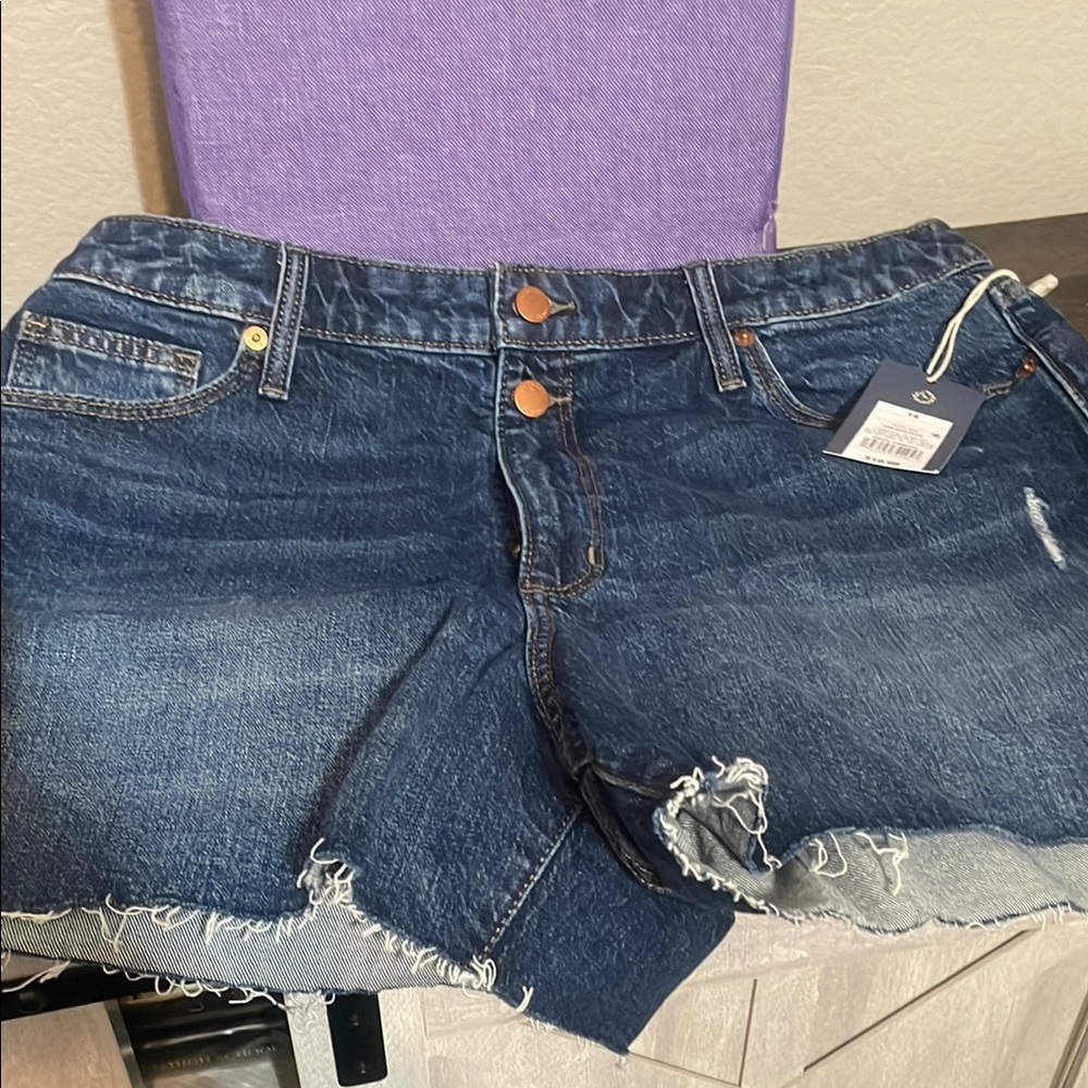 Denim Frayed Hem Shorts